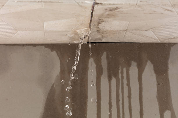 Professional Structural Drying technician working in Passaic, NJ